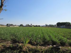 Terreno en VENTA en YAUTEPEC, Morelos.