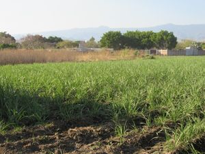 Terreno en VENTA en YAUTEPEC, Morelos.