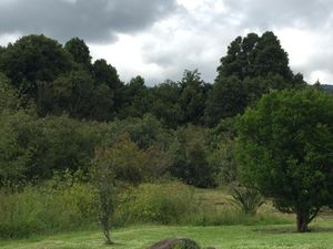 Hermosa finca en Valle de Bravo