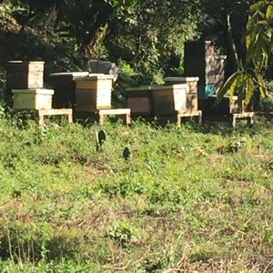 Hermosa finca en Valle de Bravo