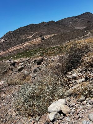 REMATE DE TERRENO - EN LOMAS DE PALMIRA