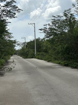 TERRENOS PARA DESARROLLO INDUSTRIAL EN TIXCACAL, YUC