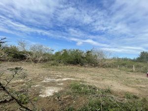 Terreno en Venta en Playa de Chachalacas Úrsulo Galván