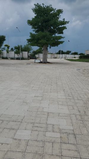 TERRENO/ LOTE EN ESQUINA /TEMOZON / AL NORTE  DE MERIDA  YUCATAN