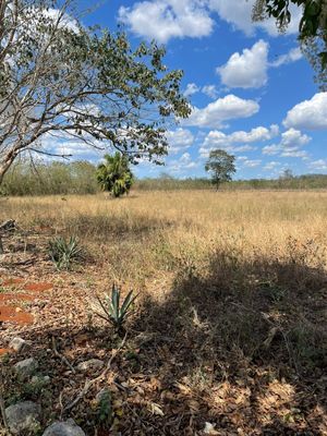 VENTA TERRENO DE 264 HECTAREAS