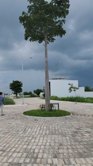 TERRENO/ LOTE EN ESQUINA /TEMOZON / AL NORTE  DE MERIDA  YUCATAN