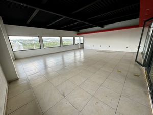 Gran Local comercial en planta baja