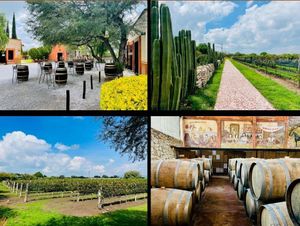 Terreno Residencial Campestre y Vinicola, Querétaro.