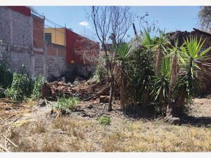 Terreno en Venta en Los Ejidos Morelia