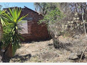 Terreno en Venta en Los Ejidos Morelia