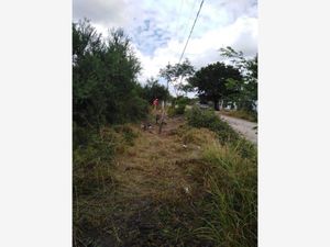 Terreno en Venta en Las Palomitas (la Fragua) Cadereyta Jiménez