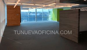 Renta Oficina 317m2 Acondicionada-Lomas de Chapultepec,Miguel Hidalgo-