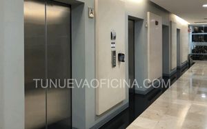 Renta Oficina 317m2 Acondicionada-Lomas de Chapultepec,Miguel Hidalgo-