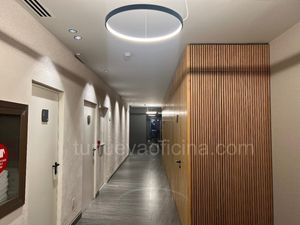 Renta Oficina 280m Polanco Granada Río San Joaquin  Nuevo AAA LEED Obra Blanca