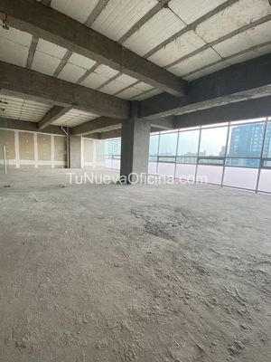 Renta Oficina 383m2 Polanco Anáhuac Laguna de Términos Nuevo