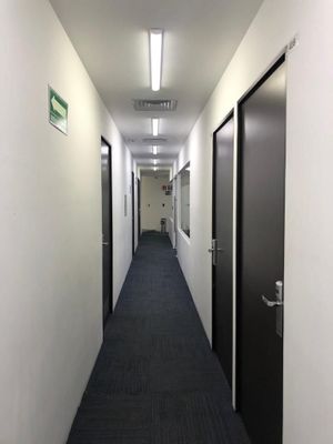 Renta de oficina 34 m2 en REFORMA CUAUHTEMOC sin aval