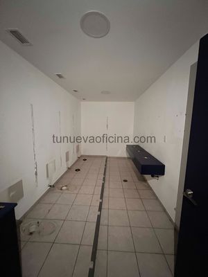 Renta Oficina 820m2, Insurgentes Sur- Terraza - Napoles - ACONDICIONADA - GYM