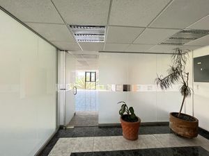 Renta Oficinas 110m2, Acondicionada- Edificio Corporativo Insurgentes - Napoles.