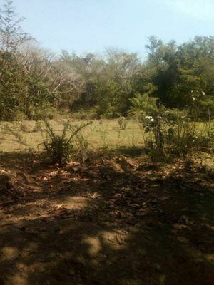 Terreno en venta en Tomatlán