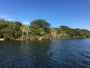 Terreno en Venta en Tomatlán, Jalisco "El Casco"