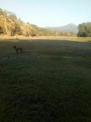 Terreno en venta en Tomatlán