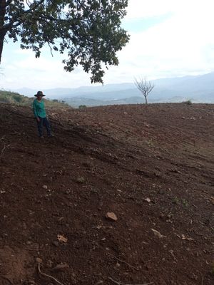 Terreno en Venta en Pihuamo Jalisco, Predio Rustico "La Enrramada"