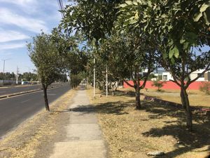 Terreno en Venta sobre Avenida a Tesistan