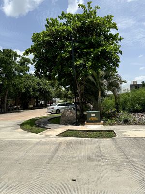 Terreno en venta en esquina en Residencial Arborea en Conkal Yucatan