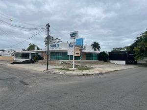 Terreno sobre avenida Campestre ideal para desarrollo  en Mérida Yucatán.