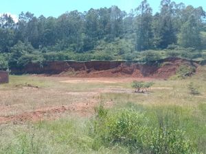 BANCO DE TIERRA PARA EL BARRO