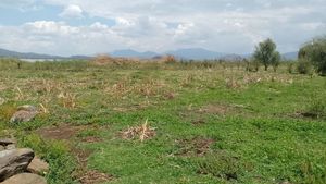 TERRENO DE 4550M2 POR ERONGARICUARO, A BORDO DEL LAGO DE PATZCUARO