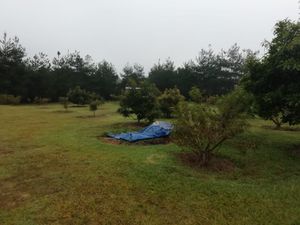 HERMOSA QUINTA CON VISTA AL LAGO