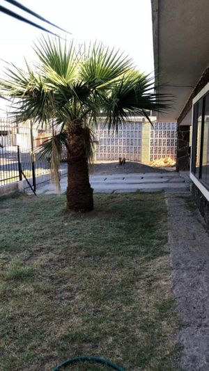 Casa / terreno en venta Fracc. Los Pinos