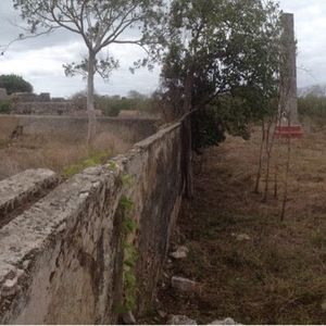 Hacienda en venta en   "Acanceh"  para remodelar cercana a Mérida.