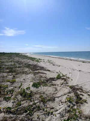 Venta de 2 terrenos frente al mar cercano a Celestún.