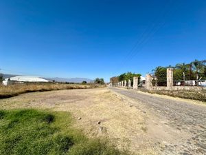 Terreno  en venta sobre carretera a Chapala  Km. 20