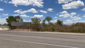 TERRENO EN RENTA SOBRE LA CARRETERA CONKAL-CHICXULUB, IDEAL PARA PLAZA