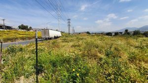 Se renta terreno en  blvd. Las Torres, Mariano Matamoros, Tijuana