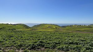 Se venden terrenos en Hacienda Calafia, Playas de Rosarito