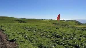 Se venden terrenos en Hacienda Calafia, Playas de Rosarito