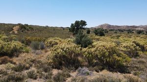 Terreno en Venta en Santa Verónica, Tecate, B.C.