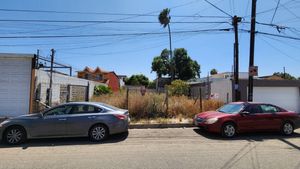 Se renta terreno en col. Anáhuac (Ermita) Tijuana