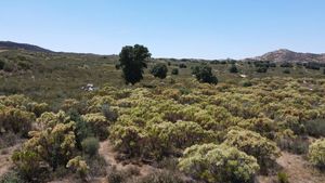 Terreno en Venta en Santa Verónica, Tecate, B.C.