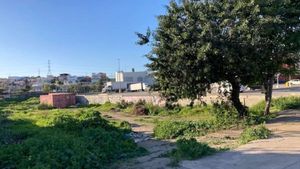 Se renta terreno de 1,344 m2 en col. Veracruz, Playas de Rosarito