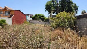 Se renta terreno en col. Anáhuac (Ermita) Tijuana