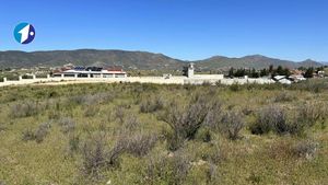 Se vende rancho de 10,000 m2 en Valle de Guadalupe