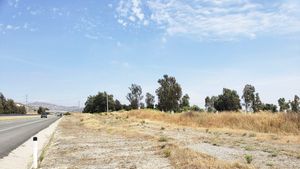 Se renta terreno de 53,000 m2 en Valle Redondo PMR-558