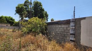 Se renta terreno en col. Anáhuac (Ermita) Tijuana