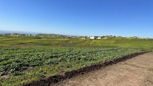 Se venden terrenos en Hacienda Calafia, Playas de Rosarito