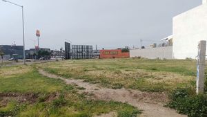 Terreno de 4800 m2 en Playas de Rosarito